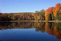 fall 041